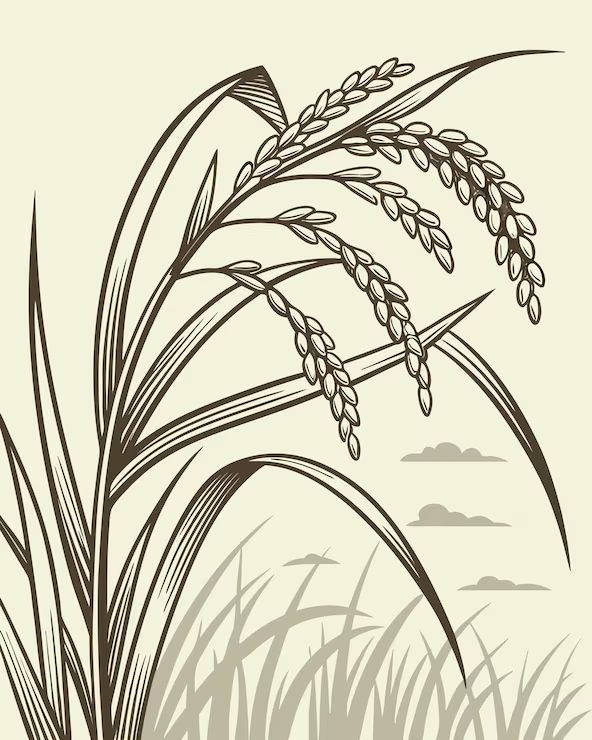 Nyalkaran Rice Mill